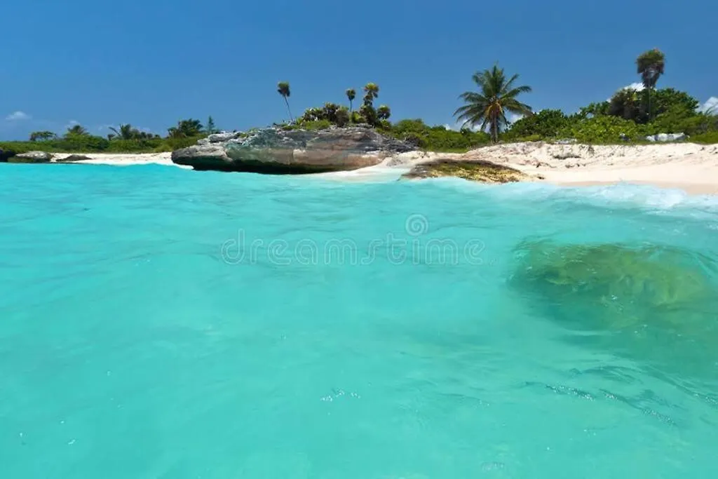 Apartment Perfect Location Mexico